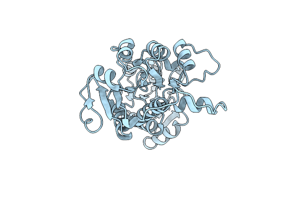 1XDW image