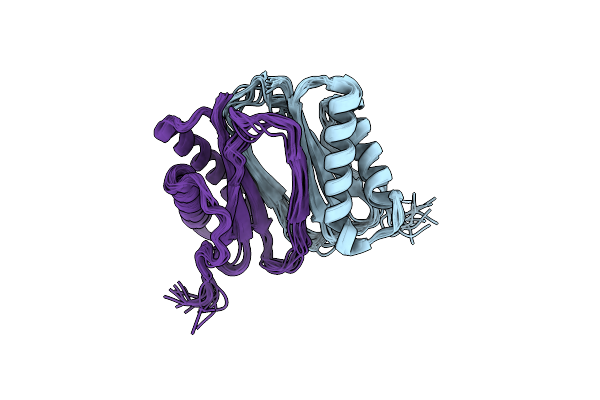 1XDX image