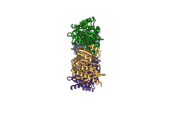 1XEA image