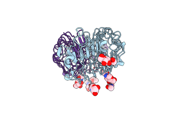 1XEC image
