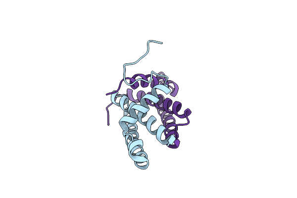 1XEQ image