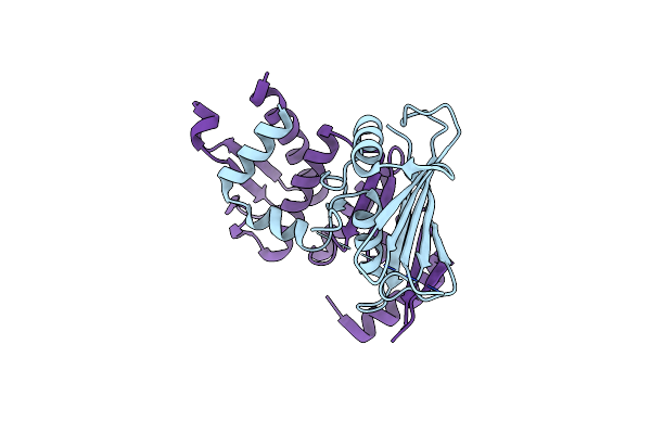 1XEW image