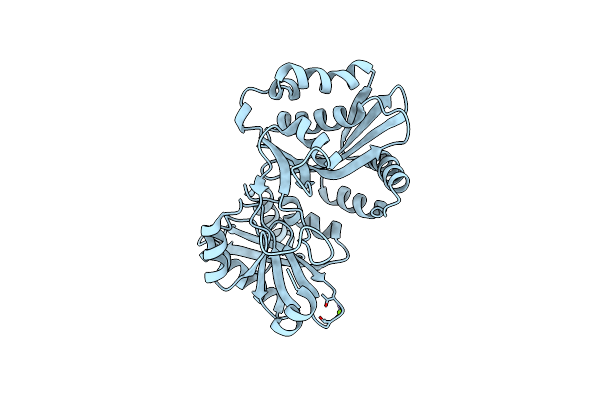 1XF8 image