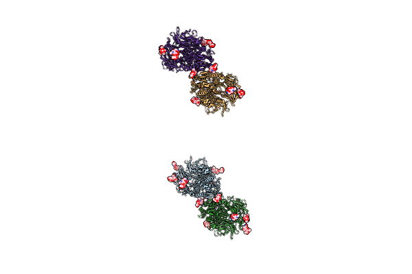 1XFD image