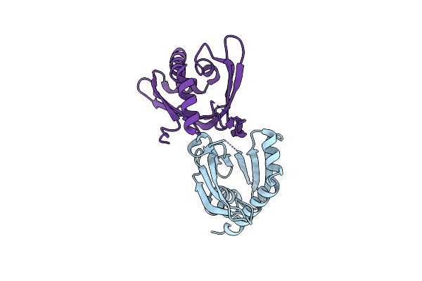 1XFS image