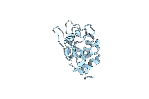 1XFT image
