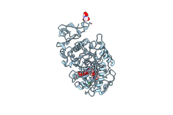 1XH2 image