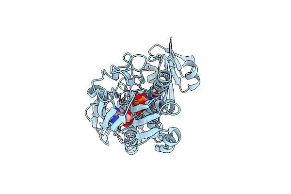 1XHC image