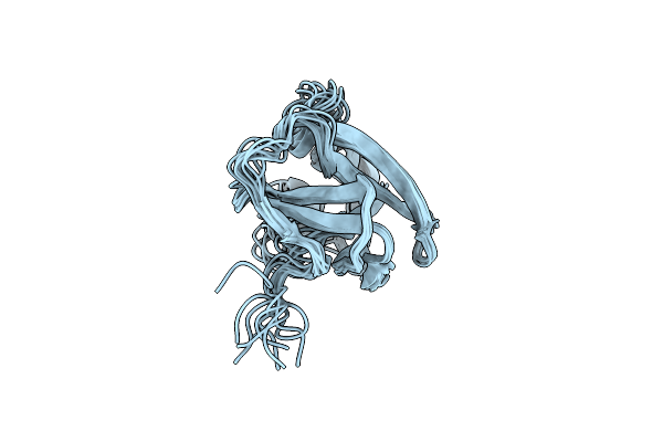 1XHS image