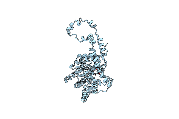 1XIB image