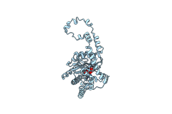 1XIH image