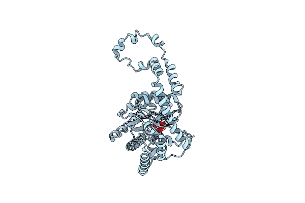 1XII image