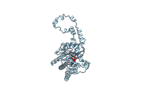 1XIJ image