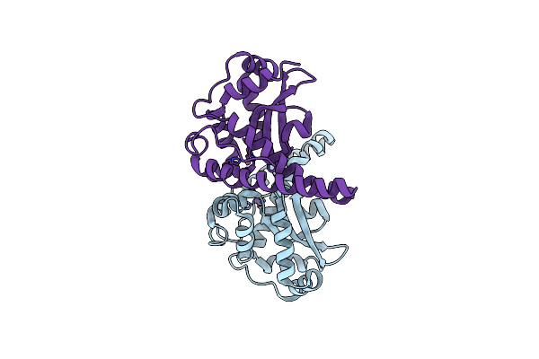 1XIL image