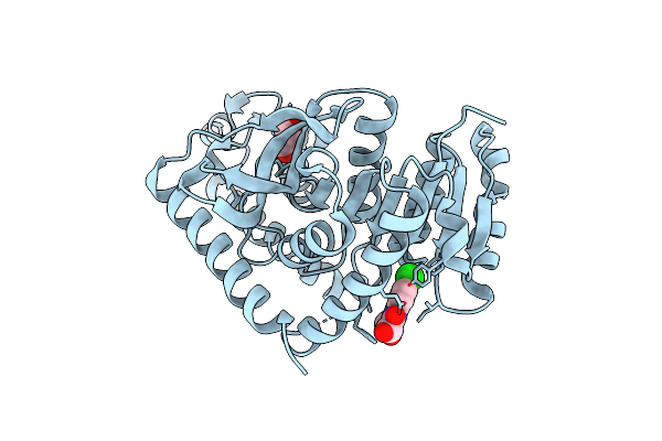 1XIV image