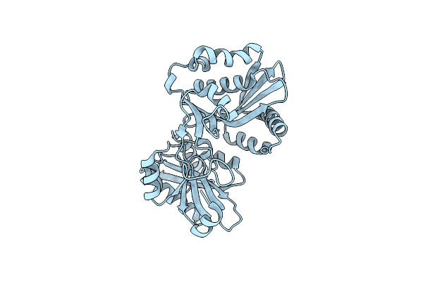 1XIX image