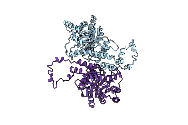 1XLL image