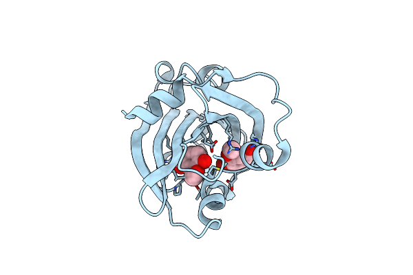 1XLR image