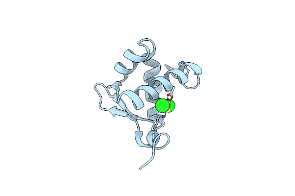 1XMK image