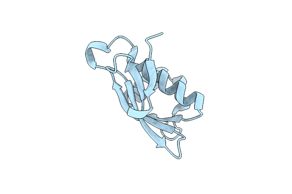 1XMT image