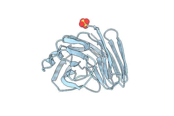 1XNB image