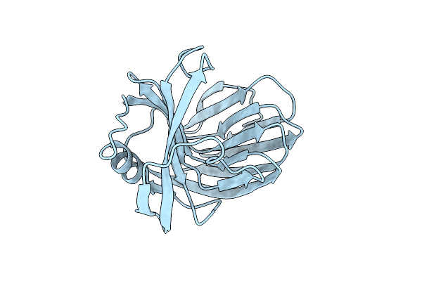 1XND image