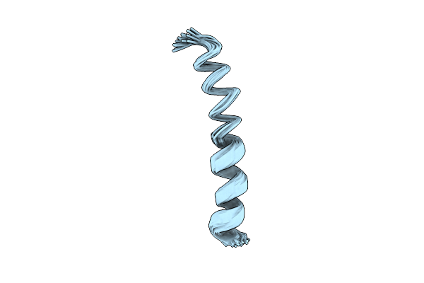 1XNL image