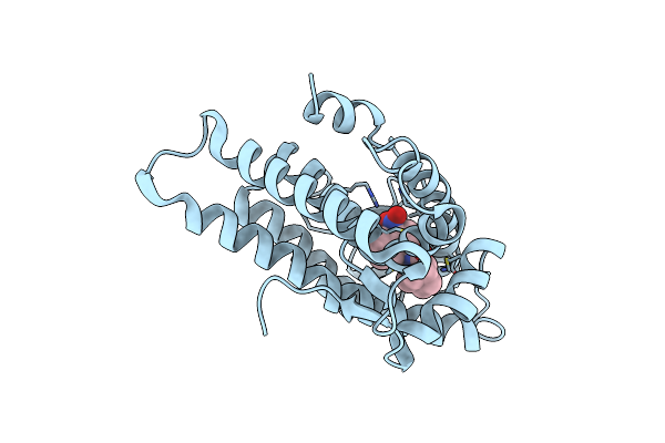1XNN image