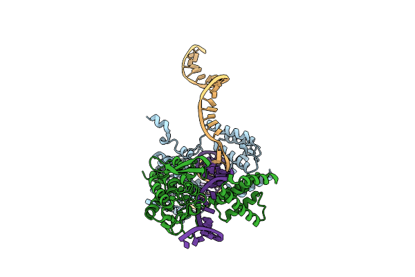 1XNS image