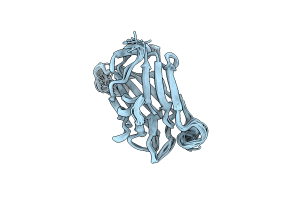 1XNT image