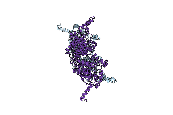 1XNV image