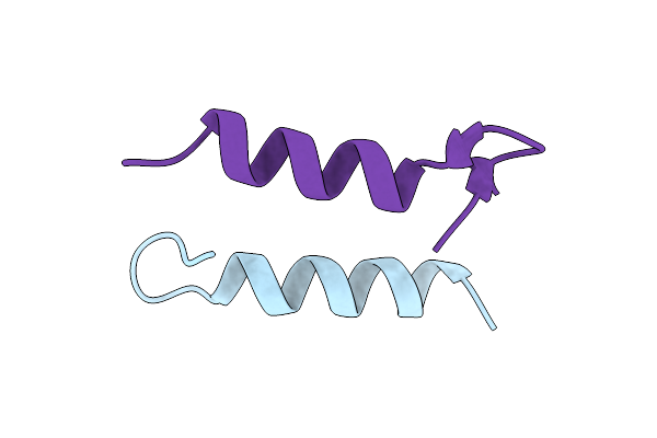 1XOF image