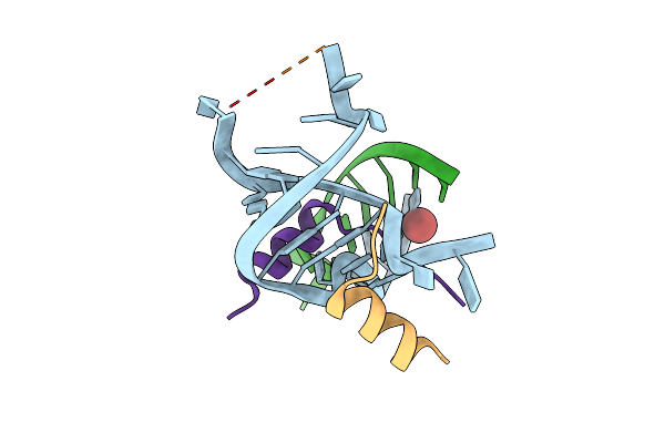1XOK image