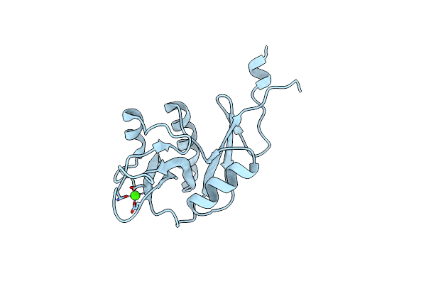 1XPH image