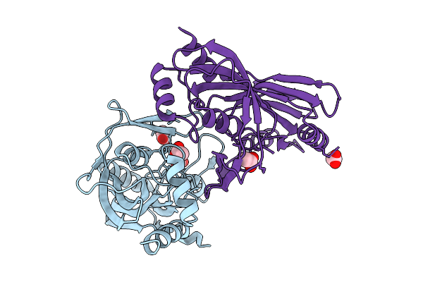 1XPI image