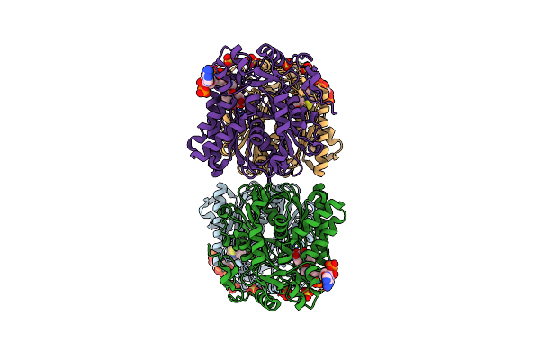 1XPM image