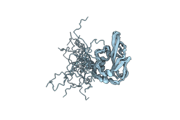 1XPN image