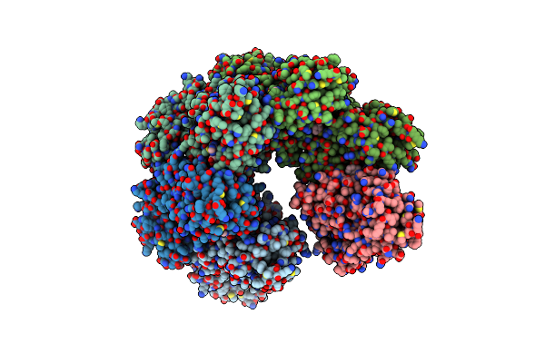 1XPU image