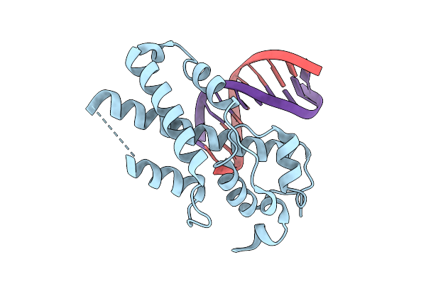 1XPX image