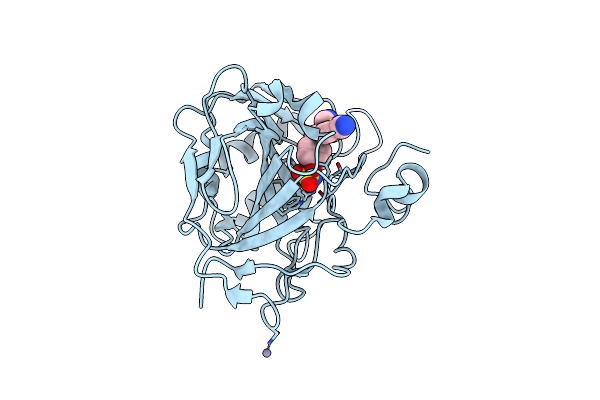 1XPZ image