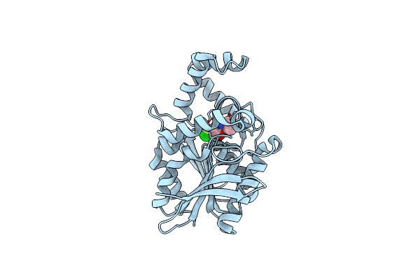 1XQX image