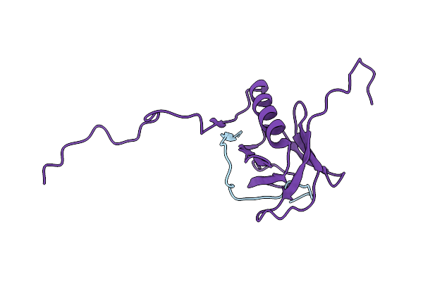 1XR0 image