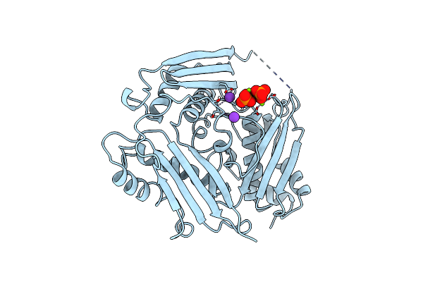 1XRA image