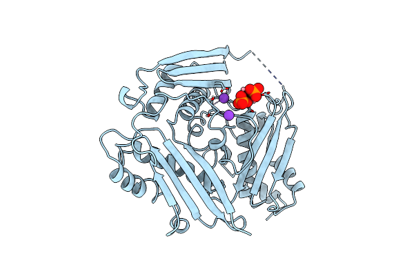 1XRC image
