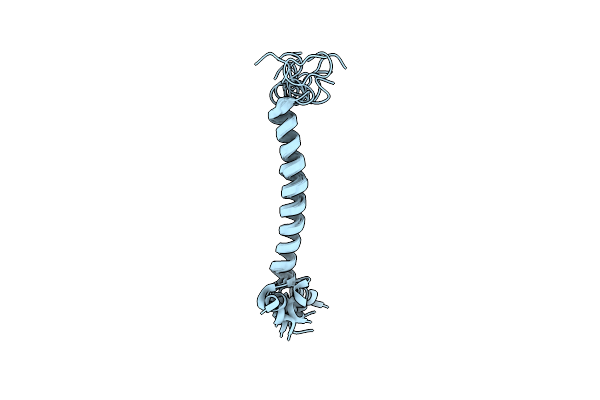 1XRD image