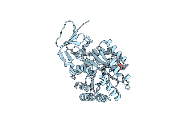 1XRF image