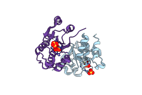 1XRI image