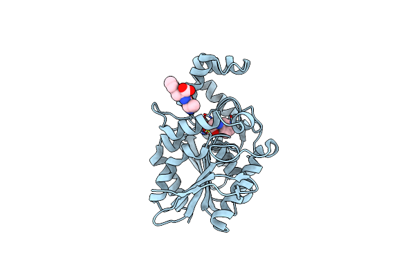 1XRM image