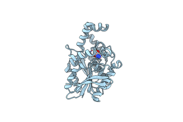 1XRN image