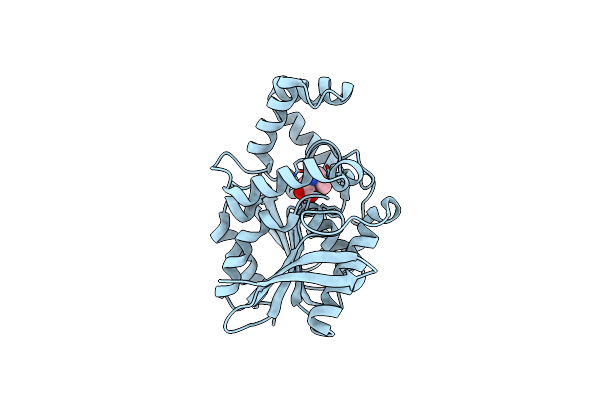 1XRO image